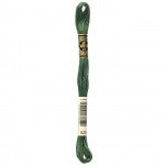 DMC Floss, Dark Fern Green 