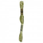 DMC Floss, Variegated Khaki Green 