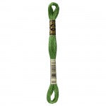 DMC Floss, Medium Forest Green 