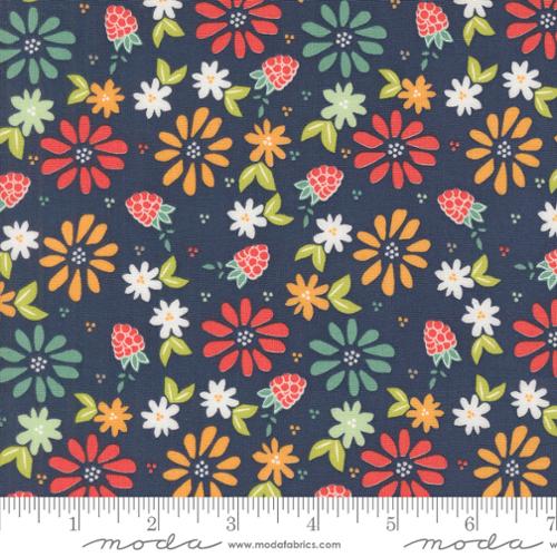 Sunshine Village Quilt Backing