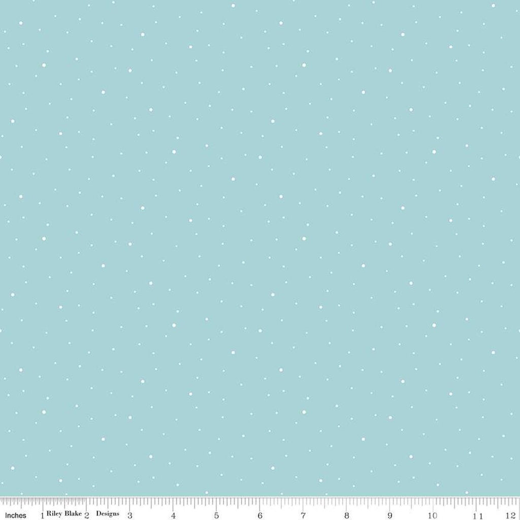 Bright Star Quilt Backing
