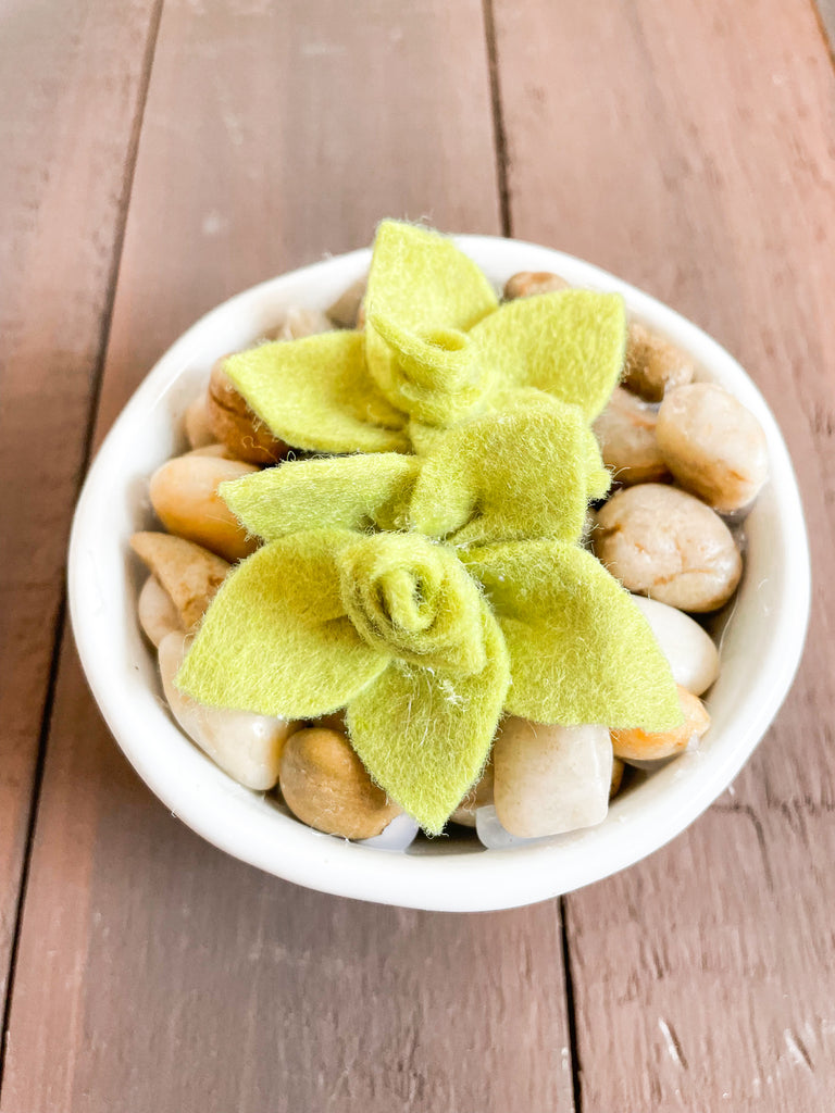 DIY Felt Succulents No Sew Project