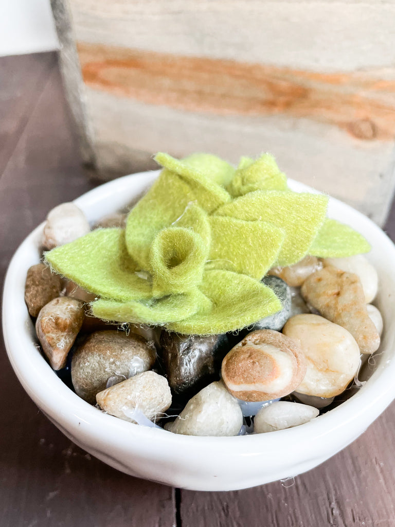 DIY Felt Succulents No Sew Project