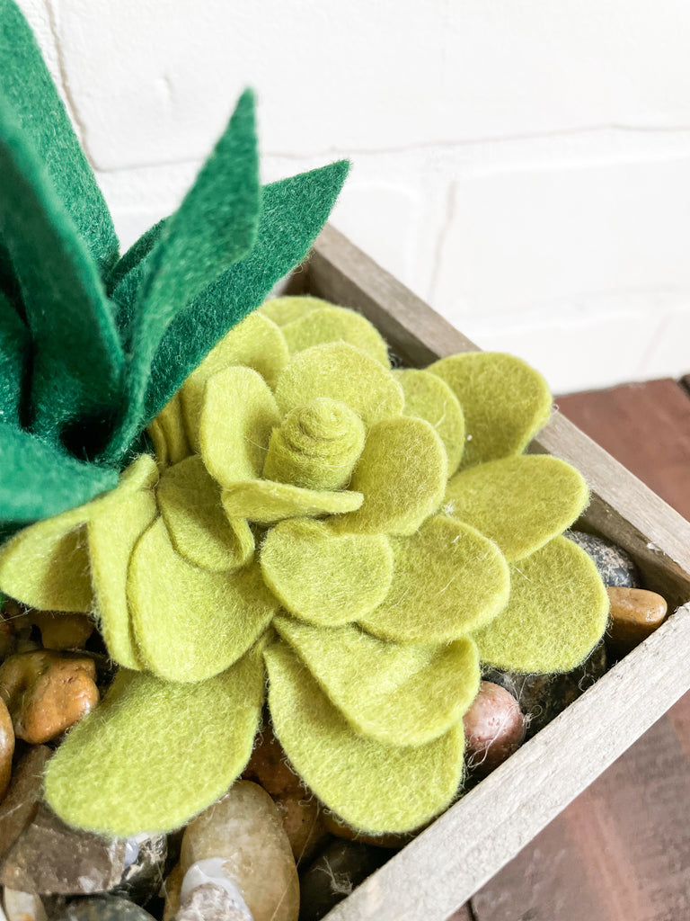 DIY Felt Succulents No Sew Project